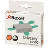 Image de Agrafe Odyssey - boîte de 2500