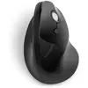 Image de Kensington Souris verticale sans fil Pro Fit Ergo - USB - Noir