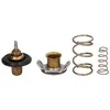 Image de Thermostat d'eau BLUE PRINT ADJ139204