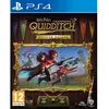 Image de Harry Potter : Champions de Quidditch - Jeu PS4 - Edition Deluxe en occasion ou reconditionné