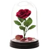 Image de Lampe - PALADONE - La Belle et la Bête - Rose enchantée - 20 cm - Intérieur en occasion ou reconditionné