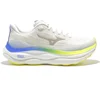 Image de Chaussures de running Mizuno Wave Sky 9 - Femme - 40.5