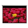 Image de Optoma pantalla 16:9 2656 x 1494mm écran de projection 3,05 m (120'')