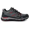 Image de Chaussures de randonnée Regatta Holcombe III Gris 44 MAG10302839