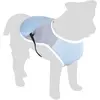 Image de Manteau pour chien rafraîchissant Flamingo Frozen Bleu 30 cm 519546