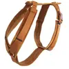 Image de Harnais pour chien actif Kentucky Velvet Orange 2XS 42640-45-XXS