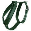 Image de Harnais pour chien actif Kentucky Velvet Vert XL 42640-74-XL