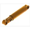 Image de Amortisseur MONROE F5007