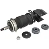 Image de Amortisseur, suspension de cabine MONROE CB0070