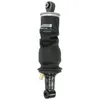 Image de Amortisseur, suspension de cabine MONROE CB0213