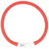 Image de Collier pour chien lumineux avec USB silicon Duvoplus Flash Ring Rouge 24x1,5x27 cm 1270004