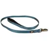 Image de Laisse pour chien en nylon Duvoplus Explor North Bleu 100x2,5x1 cm 10975