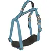 Image de Harnais pour chien en nylon Duvoplus Explor North Bleu 40x1,5x1 cm 10977
