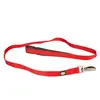Image de Laisse pour chien en nylon Duvoplus Explor North Rouge 100x2x1 cm 10987