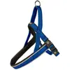 Image de Harnais pour chien en nylon Duvoplus Explor East Bleu 100x2,5x1 cm 11040