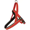 Image de Harnais pour chien en nylon Duvoplus Explor East Rouge 80x2,5x1 cm 11052