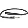 Image de Laisse pour chien en nylon Duvoplus Explor West Noir 100x2,5x1 cm 11060