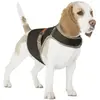Image de Gilet de sécurité pour chien réfléchissant et lumineux avec USB Duvoplus Noir L 11301