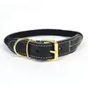 Image de Collier pour chien en nylon Duvoplus Explor Forest Noir 47/51 cm 13019