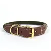Image de Collier pour chien en nylon Duvoplus Explor Forest Vert 56/64 cm 13034