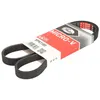 Image de Courroie trapézoïdale à nervures GATES 5PK1180
