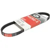 Image de Courroie trapézoïdale à nervures GATES 4PK655