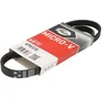Image de Courroie trapézoïdale à nervures GATES 4PK928