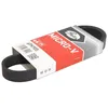 Image de Courroie trapézoïdale à nervures GATES 6PK905