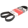 Image de Courroie trapézoïdale à nervures GATES 6PK1238