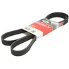 Image de Courroie trapézoïdale à nervures GATES 6PK1633