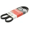 Image de Courroie trapézoïdale à nervures GATES 4PK1090