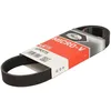 Image de Courroie trapézoïdale à nervures GATES 6PK975