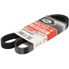 Image de Courroie trapézoïdale à nervures GATES 6PK1090SF