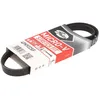 Image de Courroie trapézoïdale à nervures GATES 4PK922SF