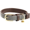 Image de Collier pour chien en nylon tressé Kentucky Gris L 42517-08-55