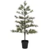 Image de Arbre de Noël avec lumières LED House Doctor, Peuce, Nature