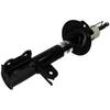 Image de Amortisseur MAGNUM TECHNOLOGY AG0020MT gauche