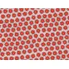 Image de Papier cadeau - Étoile de Bethléem Rouge&Rose - 70x200cm