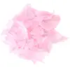 Image de Plume de décoration - Rose Clair - 3g