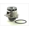 Image de Pompe à eau THERMOTEC D1X028TT
