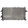 Image de Radiateur, refroidissement moteur THERMOTEC D7X025TT