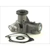 Image de Pompe à eau THERMOTEC D10510TT