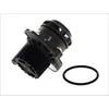 Image de Pompe à eau THERMOTEC D1W039TT