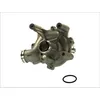 Image de Pompe à eau THERMOTEC D1B033TT