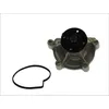 Image de Pompe à eau THERMOTEC D1M045TT