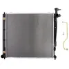 Image de Radiateur, refroidissement moteur THERMOTEC D70316TT