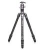 Image de Benro FRHN24CVX25 Rhino 24C + VX25 Kit trépied