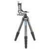 Image de Leofoto LS-365C avec tête pendulaire PG-1