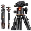 Image de K&F Concept Trépied carbone + rotule BH-36