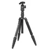 Image de FOTOPRO X-go Gecko trépied noir